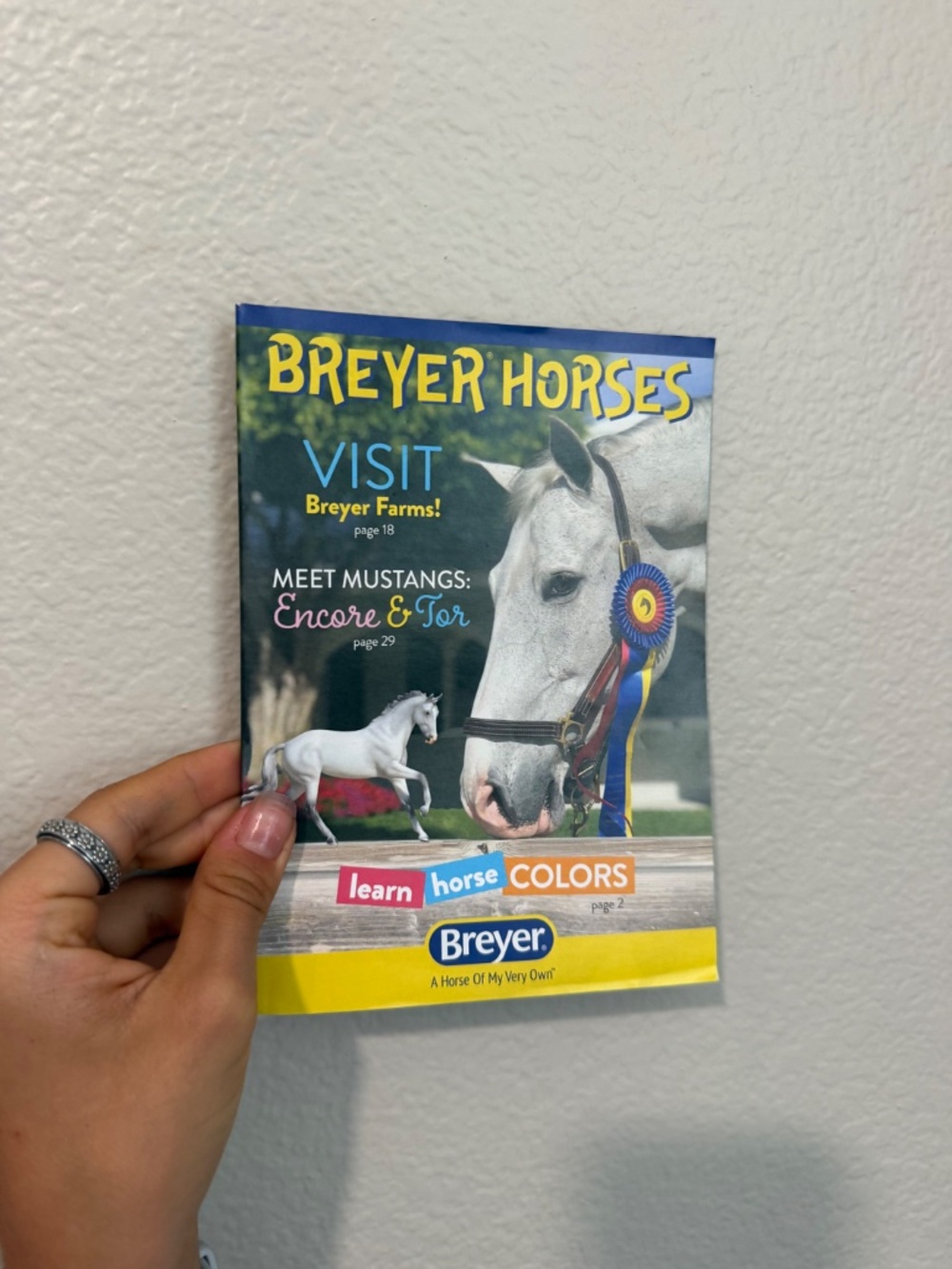 Breyer Adamek bay Akhal-Teke new in box #1861 - Picture 7 of 7